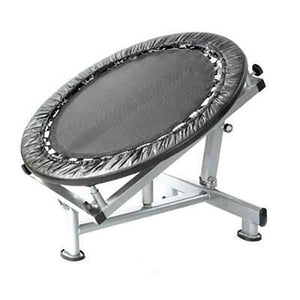 MEDICINE BALL REBOUNDER FOR ABS, CORE & CROSS FIT TRAINING